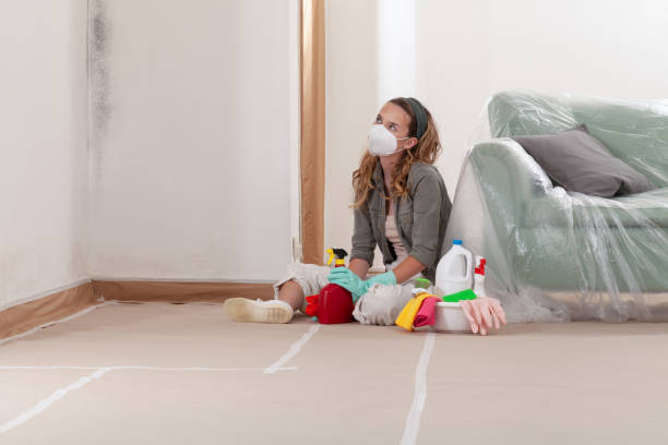 Reliable Black Mold Remediation contractor in Cumberland, KY by Mold Remediation HQ
